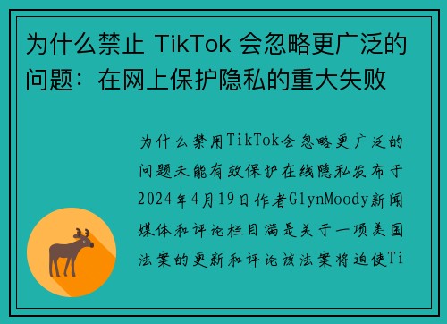 为什么禁止 TikTok 会忽略更广泛的问题：在网上保护隐私的重大失败