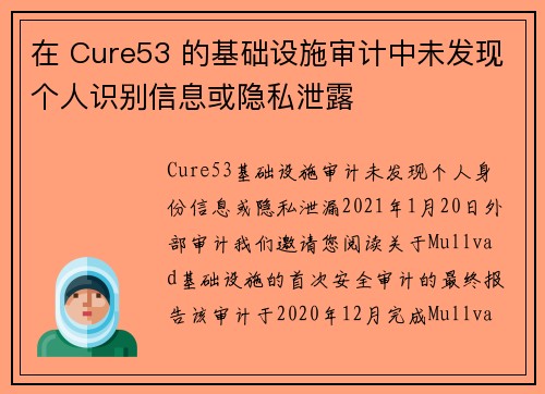在 Cure53 的基础设施审计中未发现个人识别信息或隐私泄露 