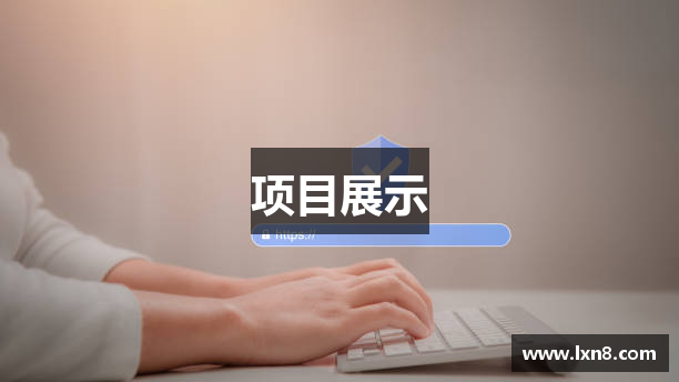 项目展示